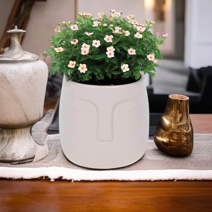 Macetero de cerámica Beige 12 cm 22JTJ4050