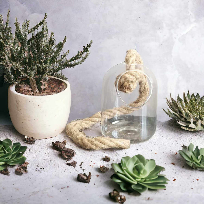 Terrario suculenta de vidrio con cuerda 15 cm 3-2360