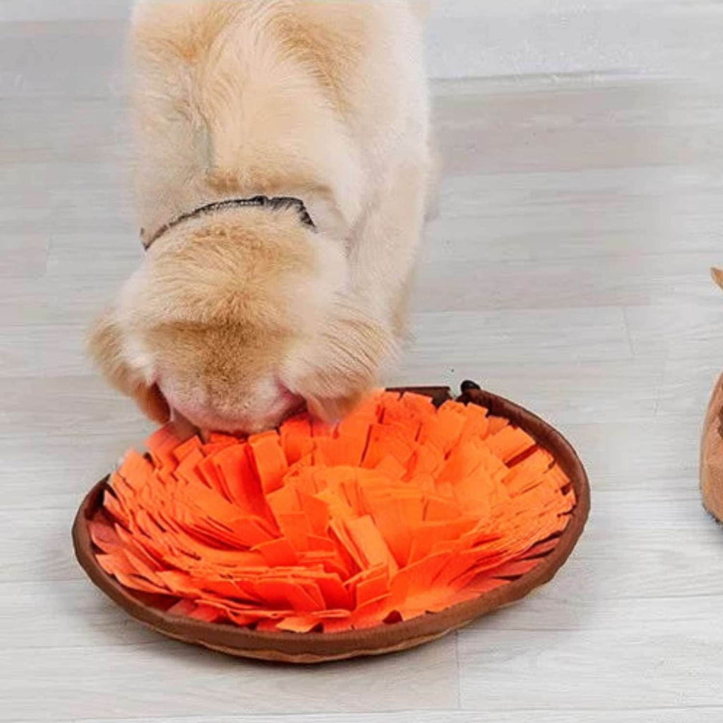 Alfombra olfativa de entrenamiento para perros anti estrés