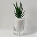 Arena decorativa mate blanca 5110090128blanco