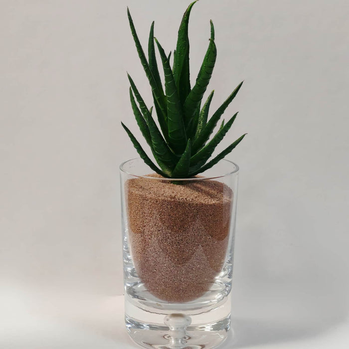 Arena decorativa mate café 5110090128cafe