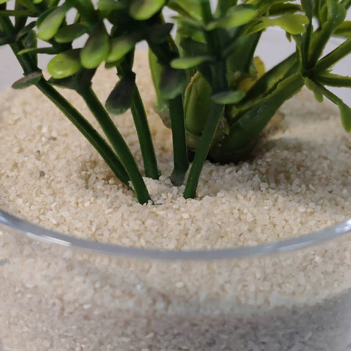 Arena decorativa mate crema 5110090128crema