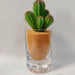 Arena decorativa mate naranja 5110090128naranjo