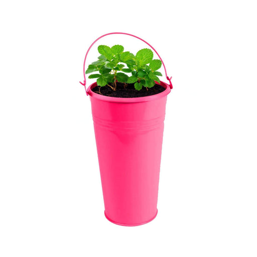 Balde metálico fucsia 13x20cm 94072-FU