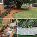 Borde separador de jardín plástico 5 m DPX424