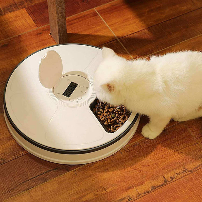 Dispensador automático de alimento para perros y gatos