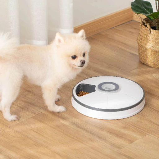 Dispensador automático de alimento para perros y gatos CPX3551