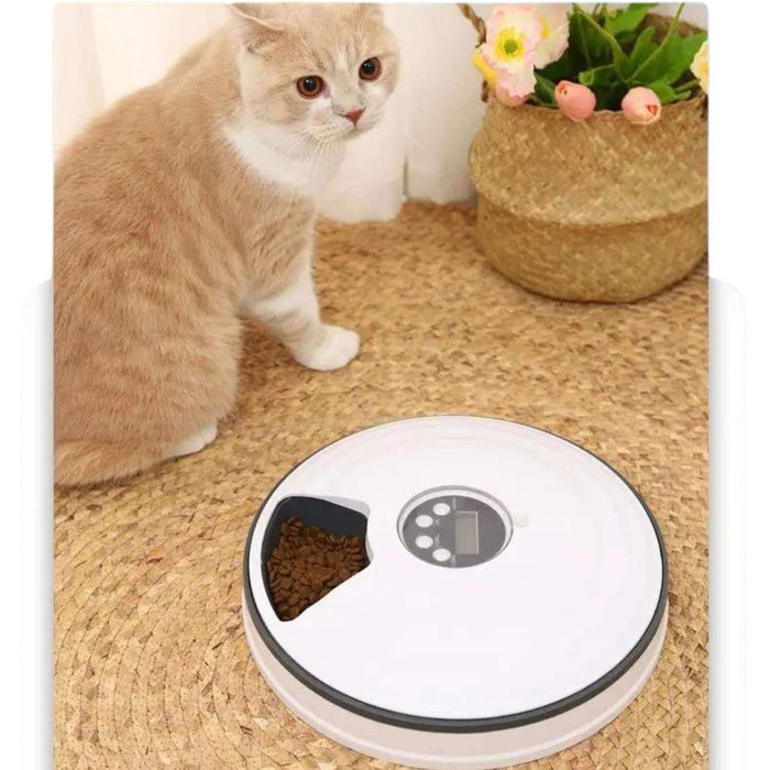 Dispensador automático de alimento para perros y gatos CPX3551