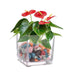 Florero de vidrio cuadrado 14 cm 103164