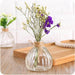 Florero de vidrio transparente 9 cm 21YTJ7460