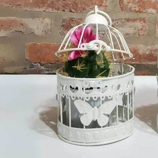 Jaula metal mariposa circular 16 cm Y1374-8 C