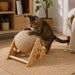 Juguete rascador para gatos con bola de sisal DDX1060