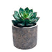 Maceta de cemento cobre/gris 11 cm BDT3045