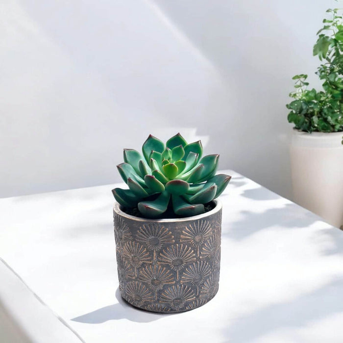 Maceta de cemento cobre/gris 11 cm BDT3045