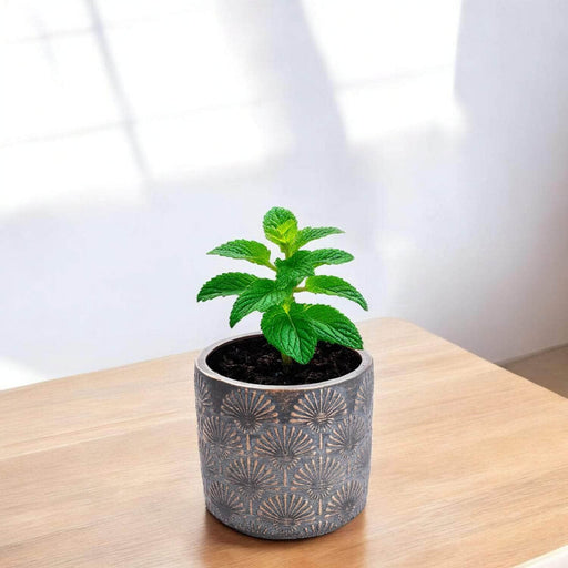 Maceta de cemento cobre/gris 13 cm BDT3044
