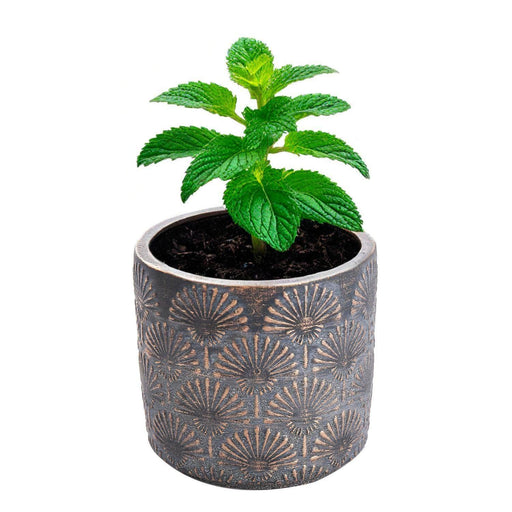 Maceta de cemento cobre/gris 13 cm BDT3044
