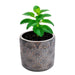 Maceta de cemento cobre/gris 13 cm BDT3044