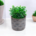 Maceta de cemento cobre/gris 9.5 cm BDT3046