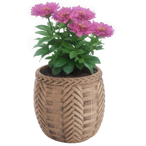Maceta tranzada de cemento café 11 cm BDT3161