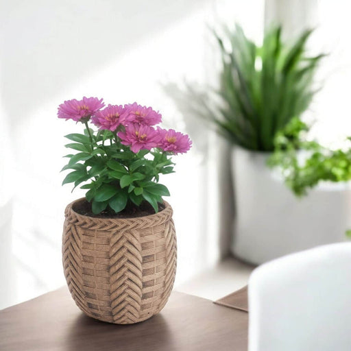 Maceta trenzada de cemento café 11 cm BDT3161