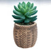 Maceta trenzada de cemento café 13 cm BDT3160