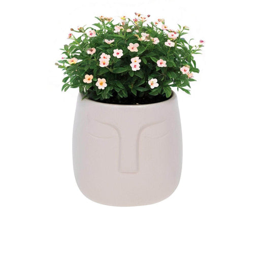 Macetero de cerámica Beige 12 cm 22JTJ4050