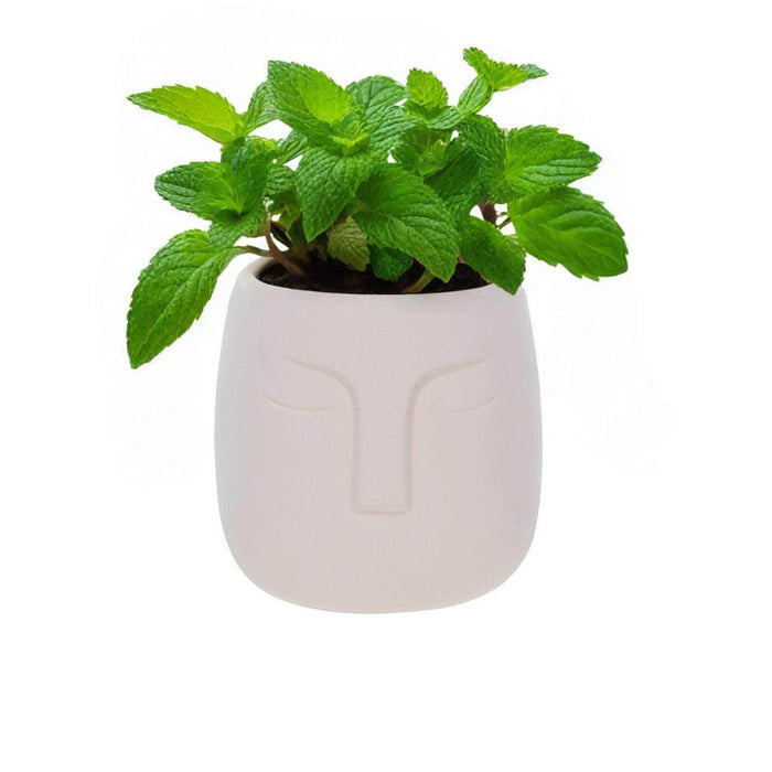 Macetero de cerámica Beige 14 cm 22JTJ4049