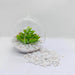 Piedras decorativas blanco mate 700 gr HS2505W