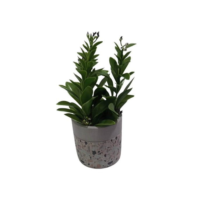 Planta Artificial Maceta Cemento 23 Cm 3-2011