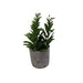 Planta Artificial Maceta Cemento 23 Cm 3-2011