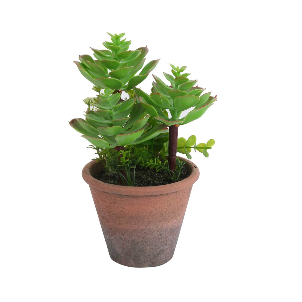 Planta Artificial Suculenta 20 cm