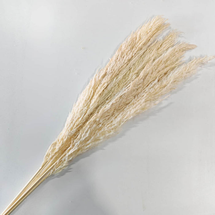 Ramo luminosa bleach 100 cm 01_6021