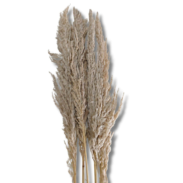 Ramo luminosa natural 100 cm 01_6020