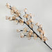 Ramo natural brotes beige 90 cm 05_5960
