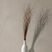 Ramo sauce crespo 90 cm 01_6019