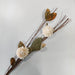 Ramo varas mix flores preservado crema 90 cm 25-6534Crema