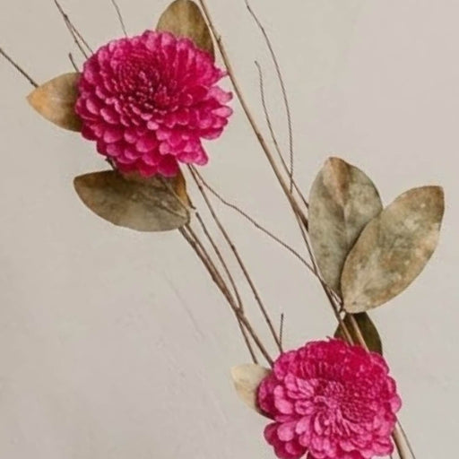 Ramo varas mix flores preservado fucsia 90 cm 25-6534Fucsia