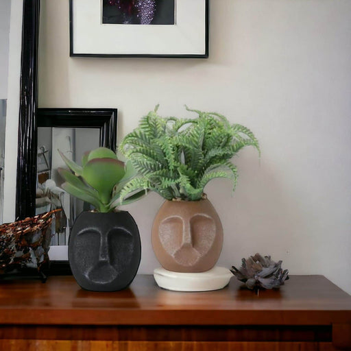 Set 2 maceteros de resina con suculentas TLS21HP061