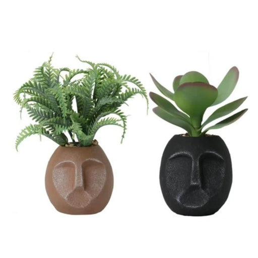 Set 2 maceteros de resina con suculentas TLS21HP061
