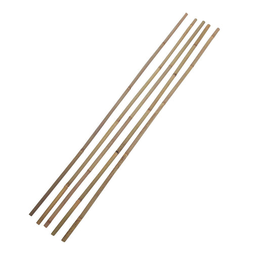 Set 5 tutores de bambu 120 cm CKX3484