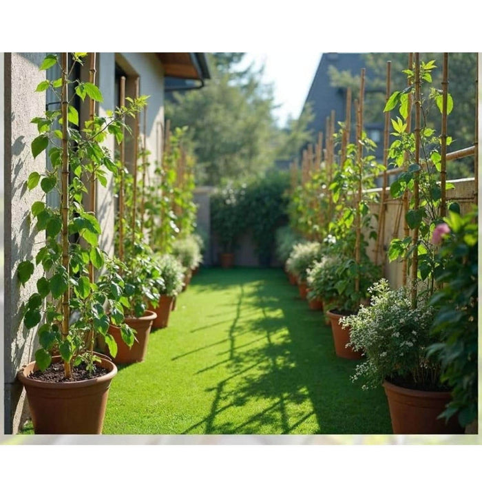 Set 5 tutores de bambu 120 cm CKX3484