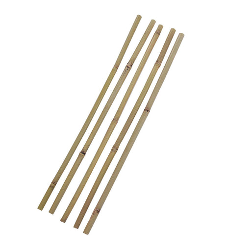 Set 5 tutores de bambu 60 cm CKX3482