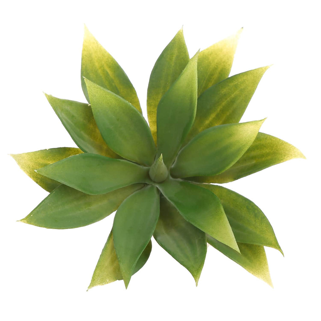 Suculenta artificial