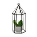 Terrario de vidrio pérgola 21 cm 21SXP190