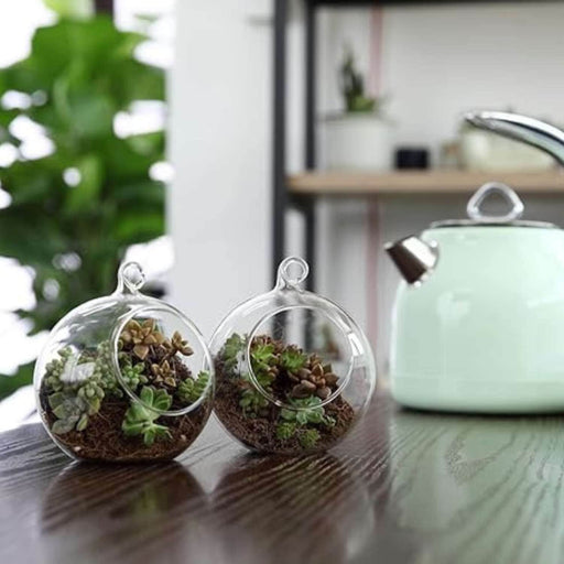 Terrario redondo colgante de vidrio 103287