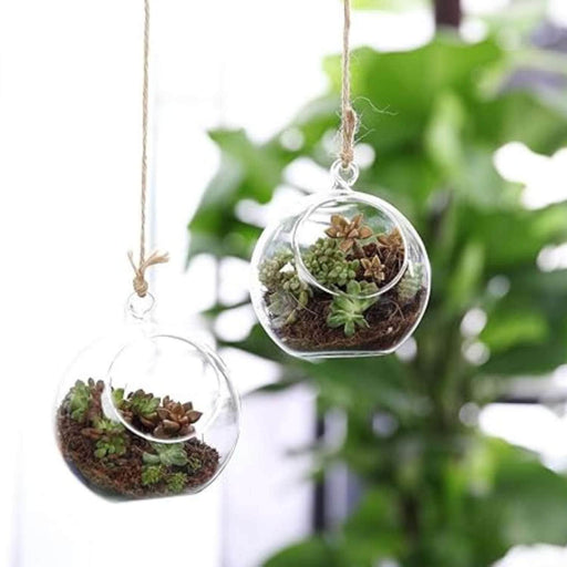 Terrario redondo colgante de vidrio 103287