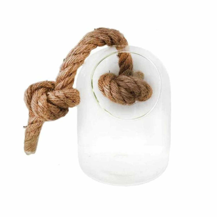 Terrario suculenta de vidrio con cuerda  15 cm 3-2360