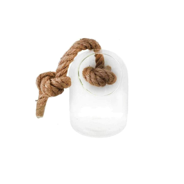 Terrario suculenta de vidrio con cuerda  15 cm 3-2360