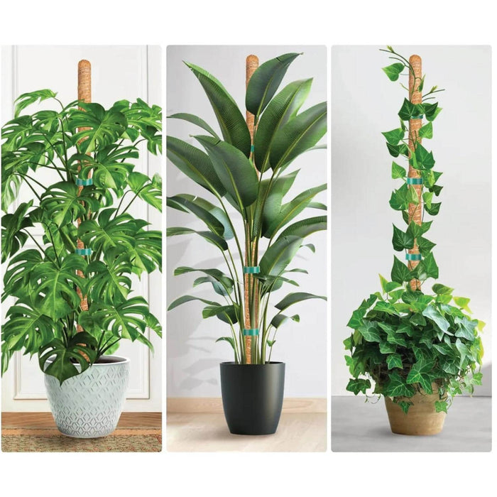 Tutor fibra de coco 62 cm CKX3475