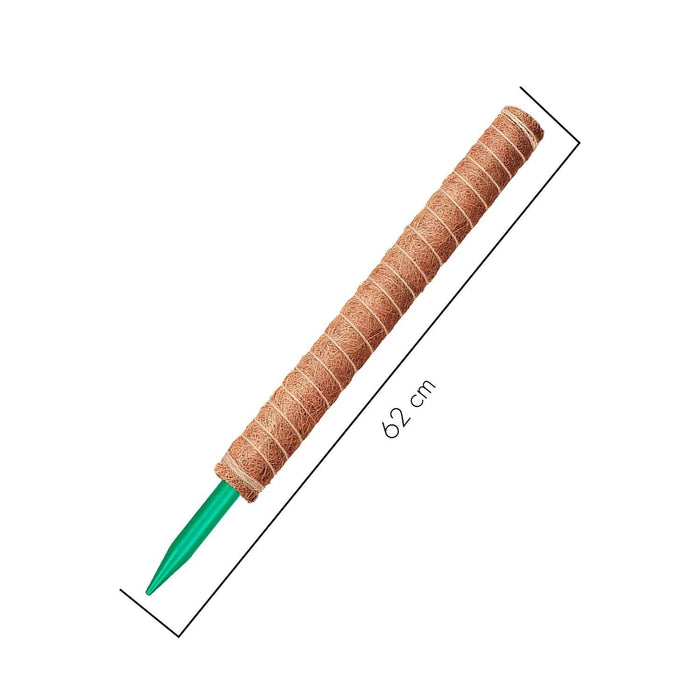 Tutor fibra de coco 62 cm CKX3475